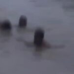 IMG-20260719-WA0018
